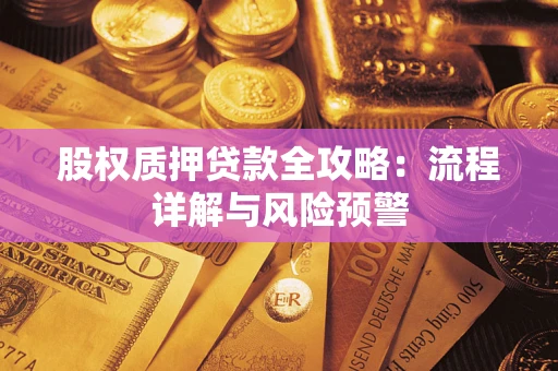 北京股权质押贷款全攻略：流程详解与风险预警