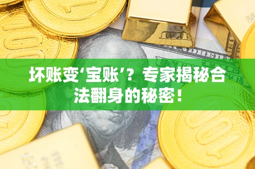 北京坏账变‘宝账’？专家揭秘合法翻身的秘密！