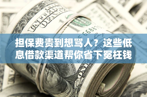 北京担保费贵到想骂人？这些低息借款渠道帮你省下冤枉钱